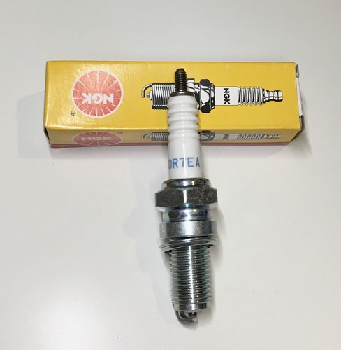 Ngk dr7ea zündkerze - ngk,